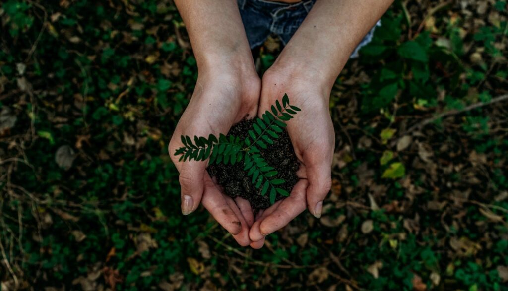 Fresh plant for sustainable life