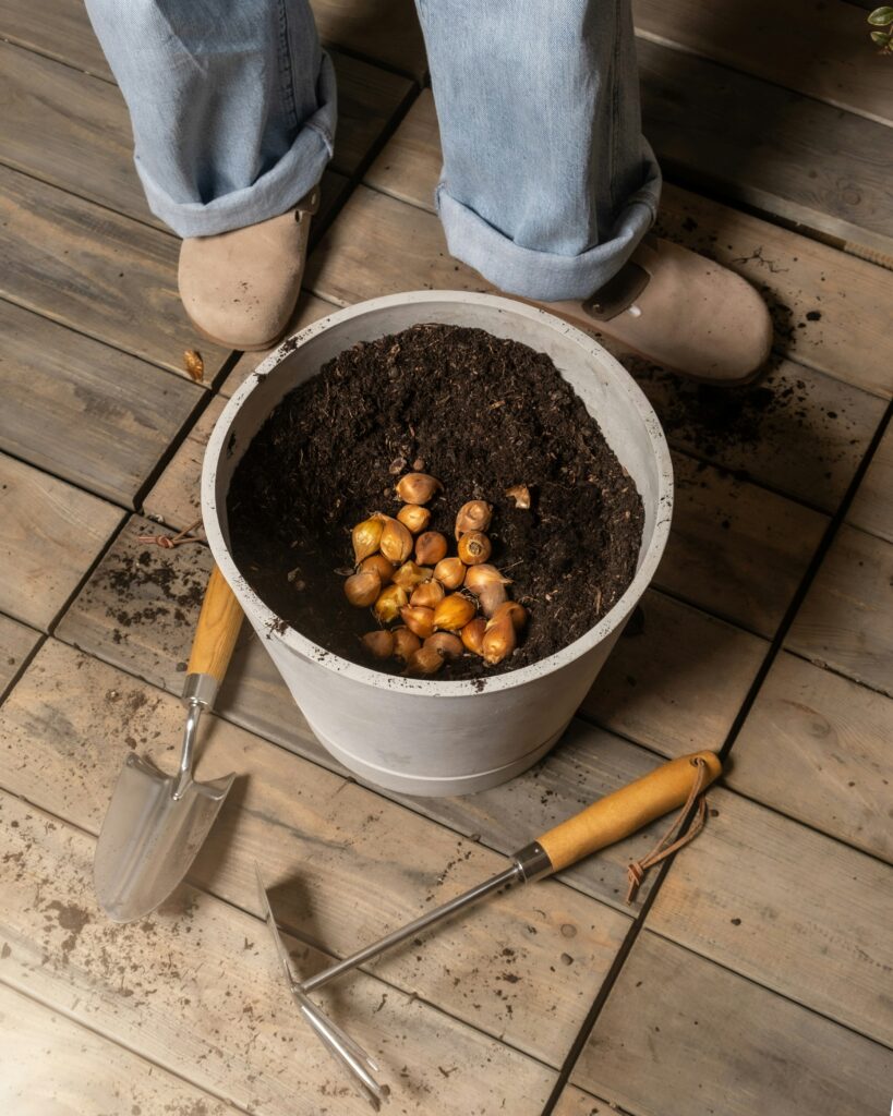 soil in a pot
