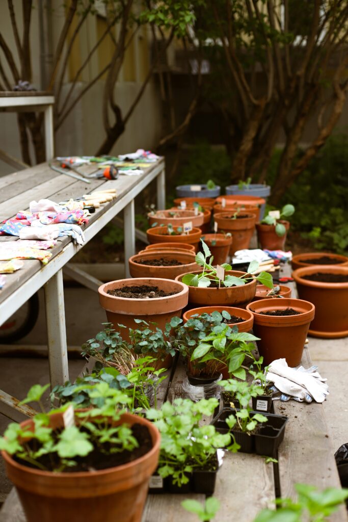 pot gardening