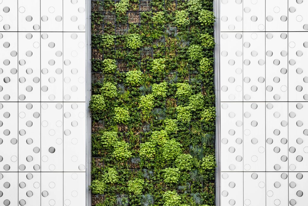 Kitchen garden layout