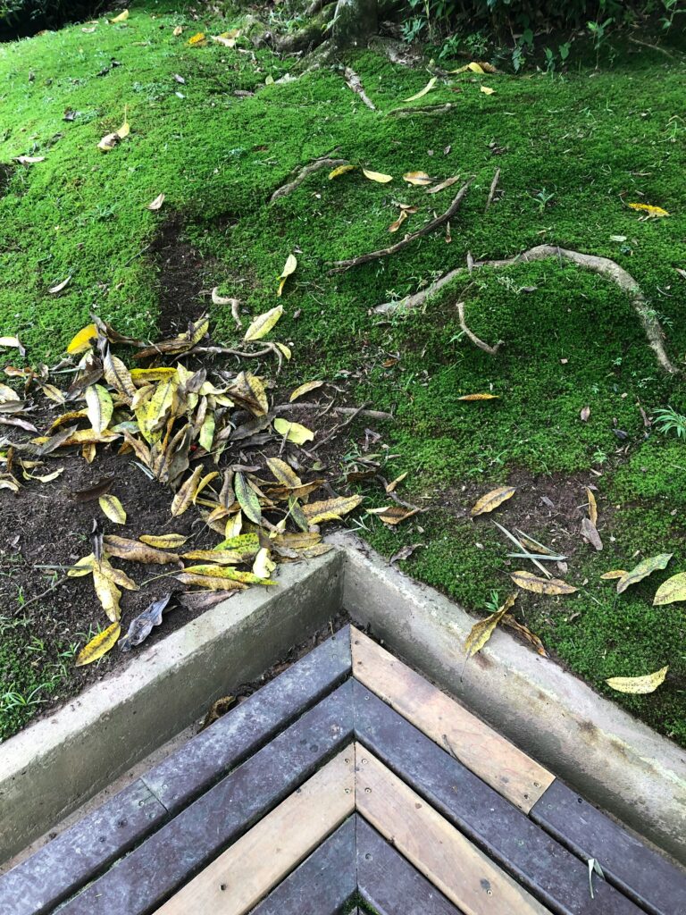 banana peel