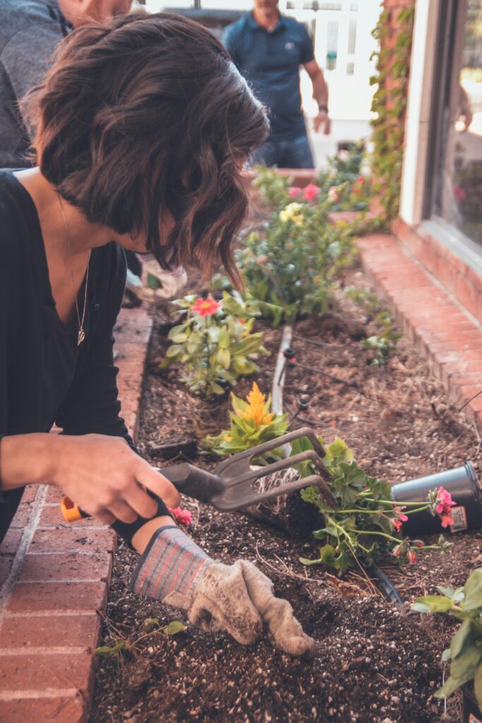 5 DIY hacks for growing Kitchen garden
