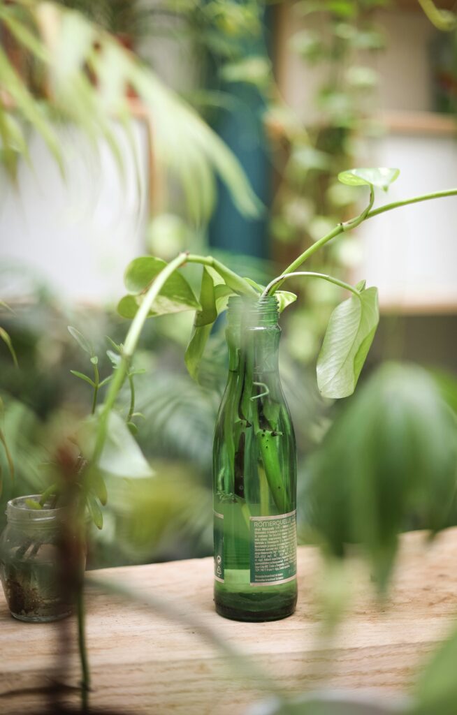bottle drip systen